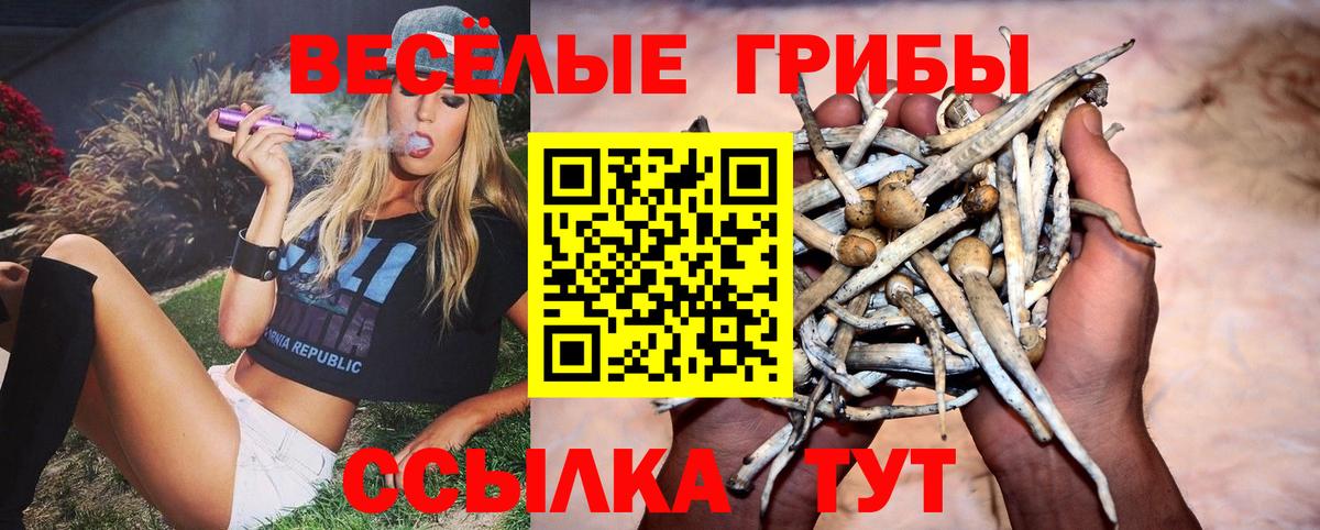 Галлюциногенные грибы Magic Shrooms Октябрьский