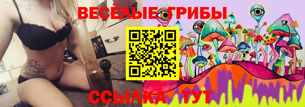 Октябрьский  Псилоцибиновые грибы Cubensis  Вход с VPN 